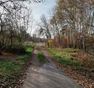 Pętla nad Przemsza i Wawolnica - Jaworzno - 2