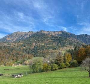 Sortie automnale autour de Faverges, par la Recorbaz - Anne-Marie - 2