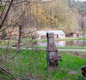 Forêt de Montfort-sur-Risle et le sentier de découvertess - Laurence  - 2
