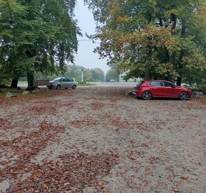 Circuit en forêt depuis le Carrefour du Magasin - Benoit - 4