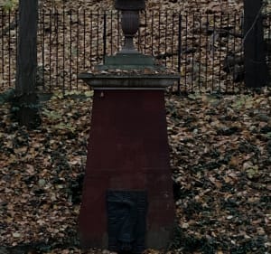 W koło lasu bielańskiego, AWF i uczelni UKSW - Maciej - 5
