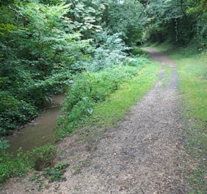 Boucle Poillé-sur-Vègre/ Juigné / Asnières - Poillé-sur-Vègre - 2