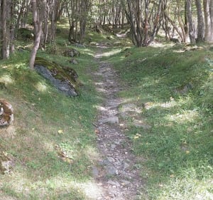 La Planchette facile - Saint-Martin-de-la-Porte - 2