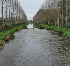 Marche le long du canal de la Dive. - Erick - 4