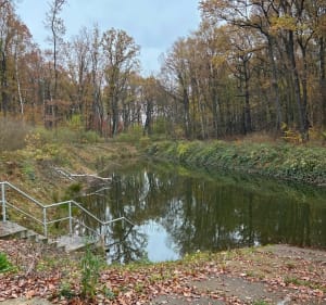 Bocznymi ścieżkami parku im. Powstańców Śląskich w Zabrzu - Bartek - 3