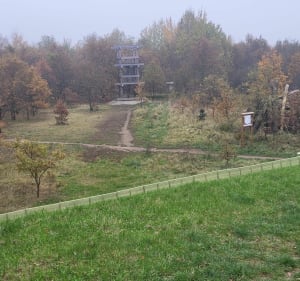 Park Świetlików i okolice - Wrocław - 2