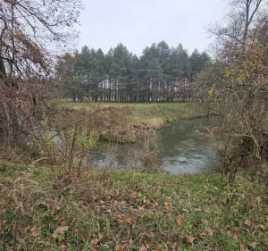 Piesza wyprawa przez stepy i lasy wzdłuż rwącej rzeki - Żędowice - 2