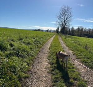Forêt des souvenirs et Neuvelle-lès-Cromary - Chloé - 2
