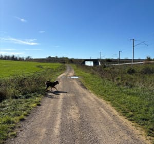 Forêt des souvenirs et Neuvelle-lès-Cromary - Neuvelle-lès-Cromary - 2