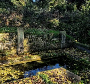 Petite balade 100% nature à Bussac - Magnac-sur-Touvre - 2