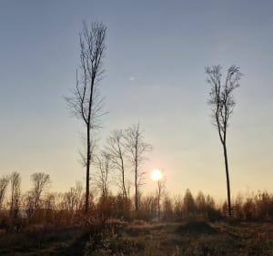 Latoszyn Zdrój ścieżka tropami legend, historii i przygody - Latoszyn - 2