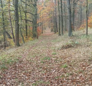 Niedzielna wycieczka - Lwówek Śląski - 2