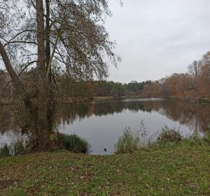 Przez Chojnowski Park Krajobrazowy do Konstancina - Piaseczno - 2