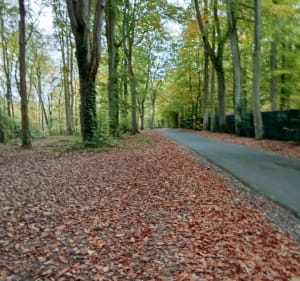 Les chemins de Reux - Reux - 2