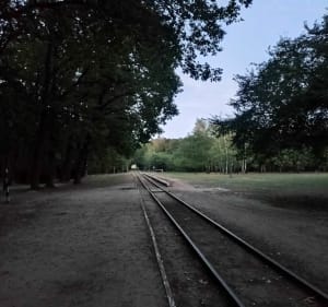 Spacer dookoła lasu - Złotokłos - 2