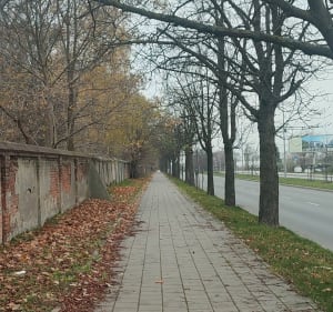 Największy cmentarz żydowski w Polsce - Łódź - 2