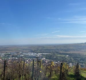 Boucle d'Hohengoeft, direction Wasselonne puis Marlenheim - Hohengœft - 2