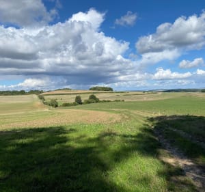 Entre champs et forêts autour de Cauvigny - Cauvigny - 2