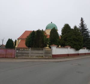 Pętla na Lipie Piotrowskiej - Dariusz - 3