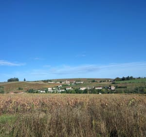 Petit parcours des cadoles - Jennifer - 3