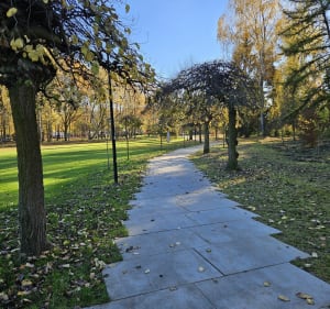 Katowicki Park Leśny - Katowice - 2