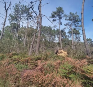 Morgat Goulien - Crozon - 3