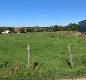 Tour des vaches à Vercel-Villedieu-le-Camp - Yann - 3