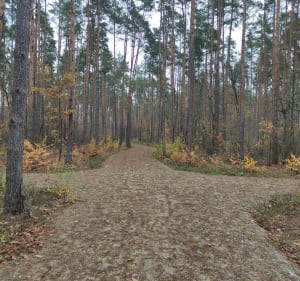 Przejdźmy się po parku "Lasek nad Narwią" - Marcin - 2
