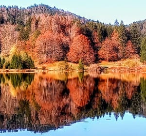Lac de Genin - Charix - 2
