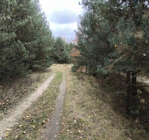 Większa pętla Skrajnicka - Skrajnica - 2