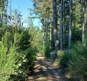 Tour du Mont Chonay - Deux-Grosnes - 2
