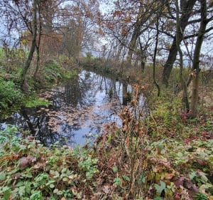 Wycieczka śladami - Opole - 2
