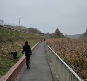 Pętla wokół jeziora Winiary - Gniezno - 5