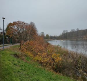Pętla wokół jeziora Winiary - Gniezno - 4