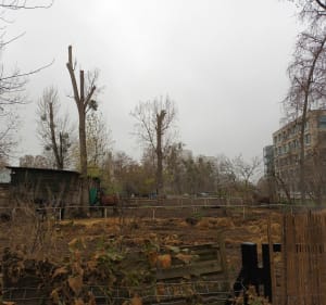 Pętla nad Wisłą w pobliżu Centrum Olimpijskiego - Warszawa - 2