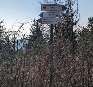 Waligóra 935m n.p.m. - Rybnica Leśna - 2
