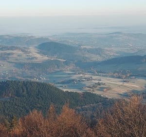 Jaworze 882 m z Cieniawy - Cieniawa - 2
