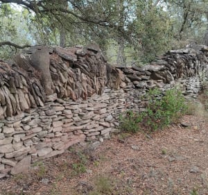 Les Capitelles de Laure - Laure-Minervois - 2