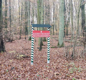 8 kilometrów lasem - Krotoszyn - 2