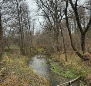 Pętla przy źródłach rzeki Ciemięgi przez wąwozy lessowe - Pliszczyn - 2