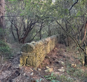 Le Malmont, balade en forêt et vue panoramique - Clément - 2