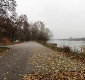 Pętla wokół Wisły przez Grota-Roweckiego i Świętokrzyski - Warszawa - 2