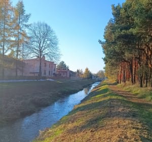 Wzdłuż Rudy w stronę Ligockiej Kużni - Rybnik - 2