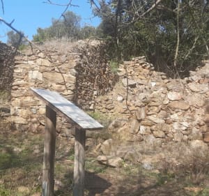 Sur les hauteurs de St-Aygulf - Fréjus - 2