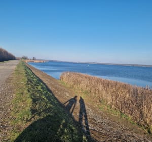 Trasa Bytom Rozbark-Świerklaniec - Bytom - 3