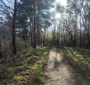 Piękna trasa rowerowa szlakiem rowerowym - Ostrów Wielkopolski - 2