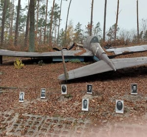 "Łoś" z Dłutowskiego Lasu - Justyna - 5