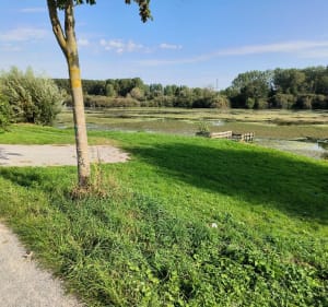 Le chemin de halage d'Amiens - Amiens - 2