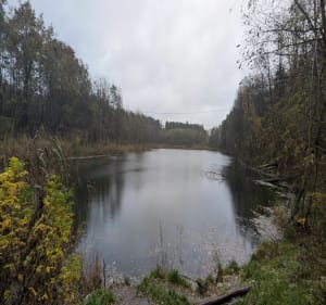 Glinianki Zielona Góra - Adam - 3