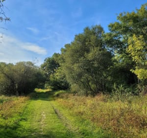 Le long du Luy et les barthes de Oeyreluy - Marie - 4